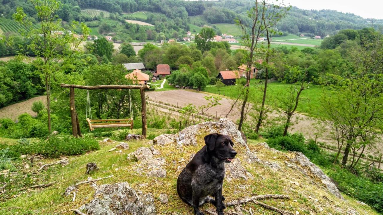 Country House Lozanjska Terasa Pensionat Exteriör bild